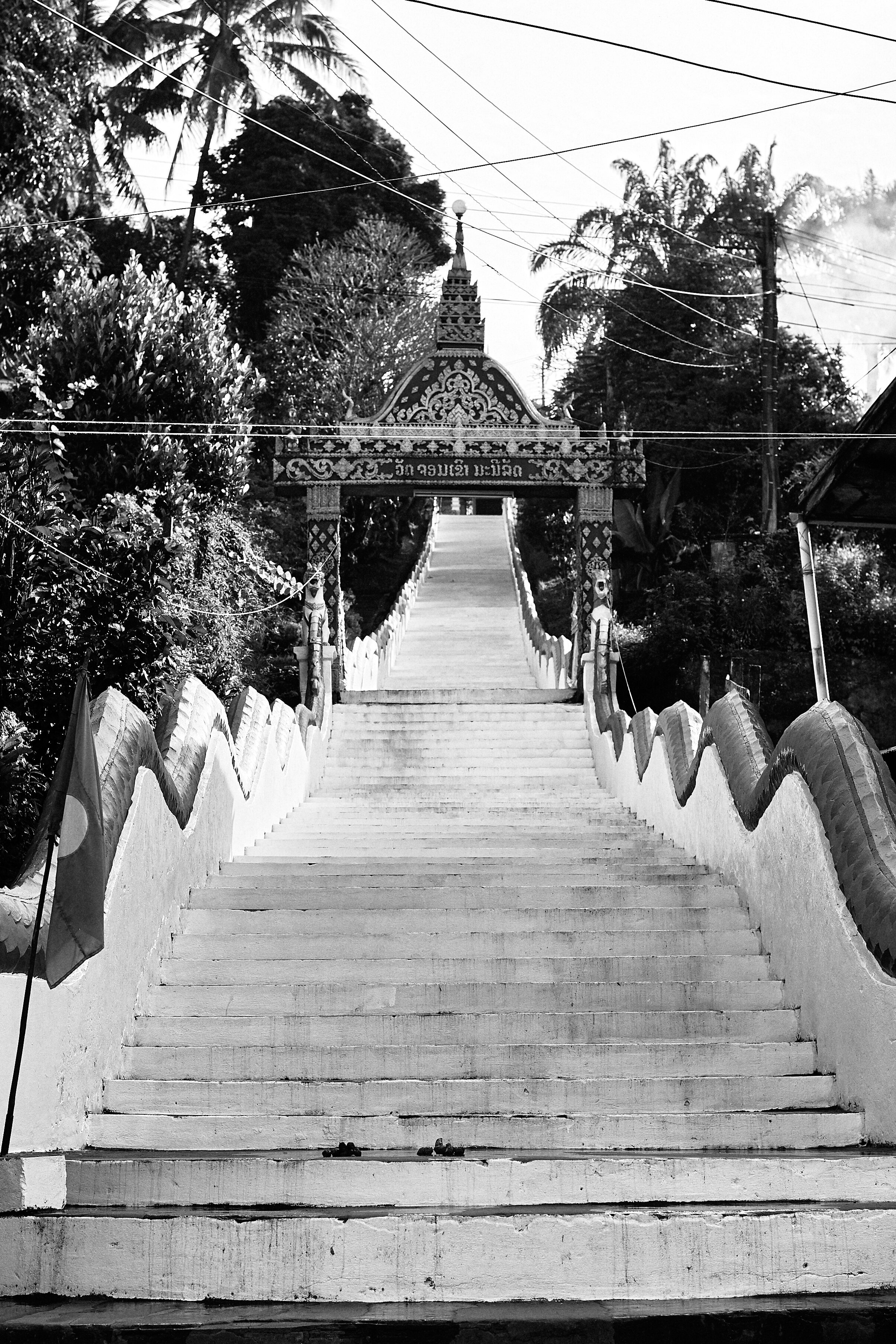 Black and white photo of a long staircase leading up to a temple or shrine entrance, with trees and power lines overhead.